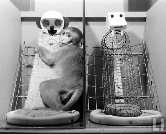 Mothers made from wire – love in the laboratory