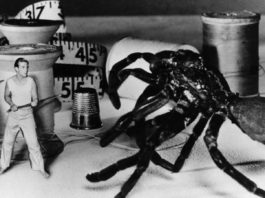 Ο άνθρωπος που συρρικνώθηκε σε παιδί