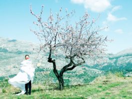 Ο Ρασομόν την άνοιξη