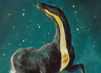 Η μυστική εταιρεία του ονείρου