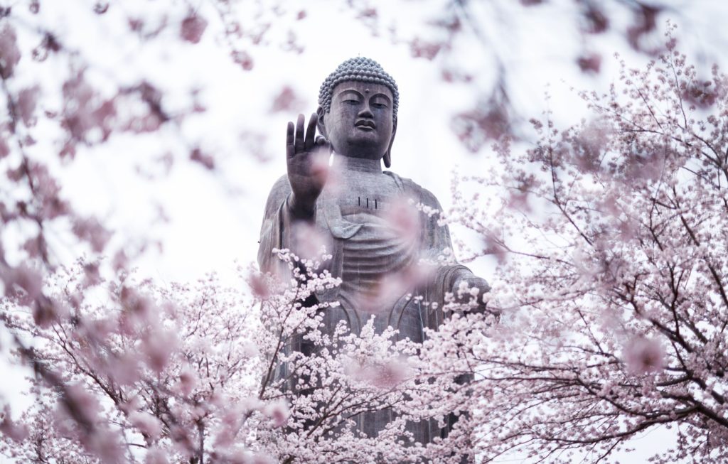 Αυτή η εικόνα δεν έχει ιδιότητα alt. Το όνομα του αρχείου είναι buddha-statue-religion-cherry-blossoms-1024x653.jpg