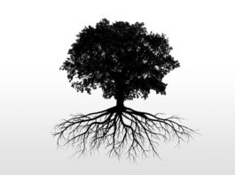 Τεχνική διαλογισμού