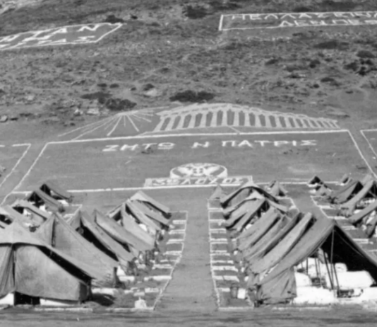 Ο Πέτρος κι οι γάτες στη Μακρόνησο