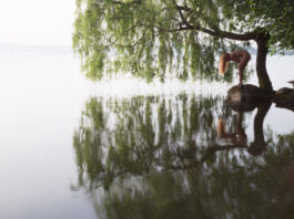 Η Αϊσέ στην κλαίουσα ιτιά