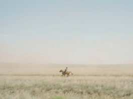 Ο κυνηγός της ευτυχίας