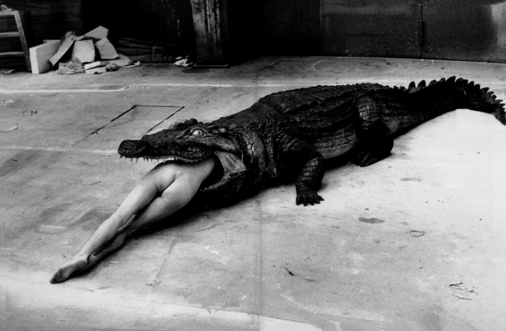 Αυτή η εικόνα δεν έχει ιδιότητα alt. Το όνομα του αρχείου είναι crocodile-eating-ballerina-1983-20x24-vintage-silver-gelatin-print-by-helmut-newton-362383_1070x700-1024x670.jpg